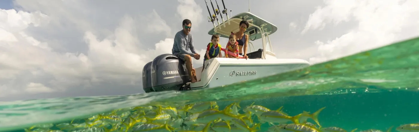 2024 Sailfish 242CC