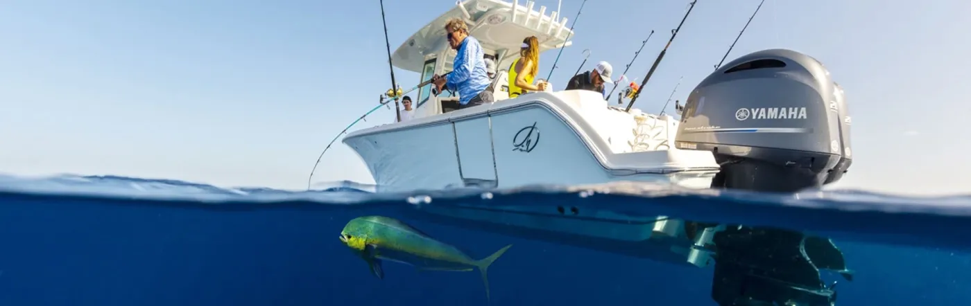 2026 Sailfish 272CC SE